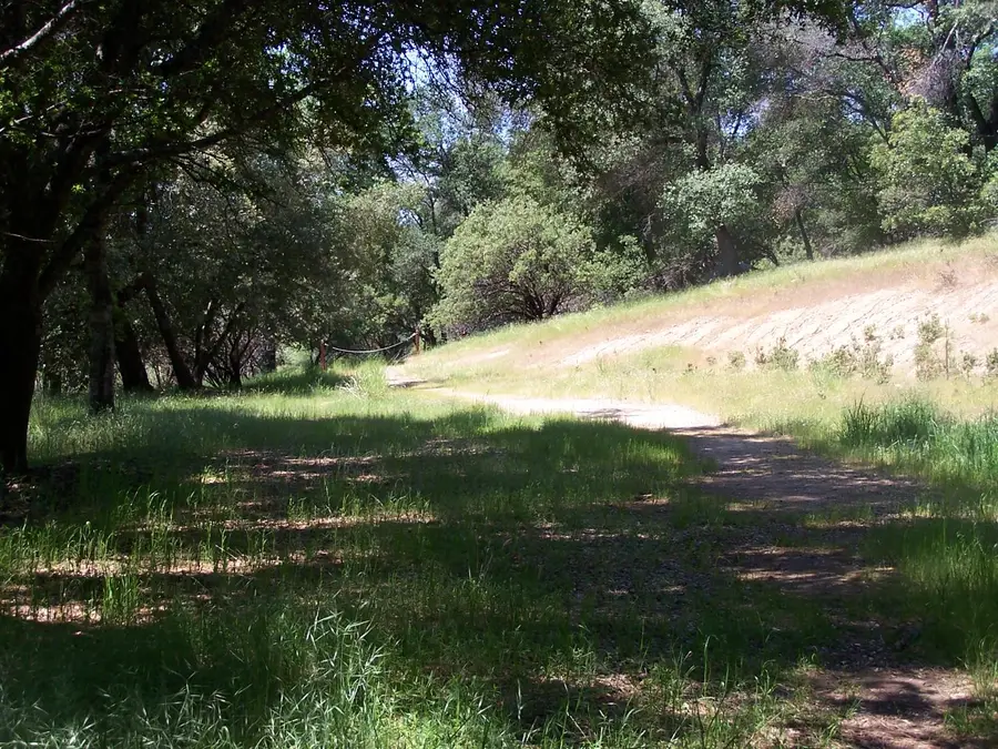 10 Rusty Ln, Oakhurst, CA 93644 - #3