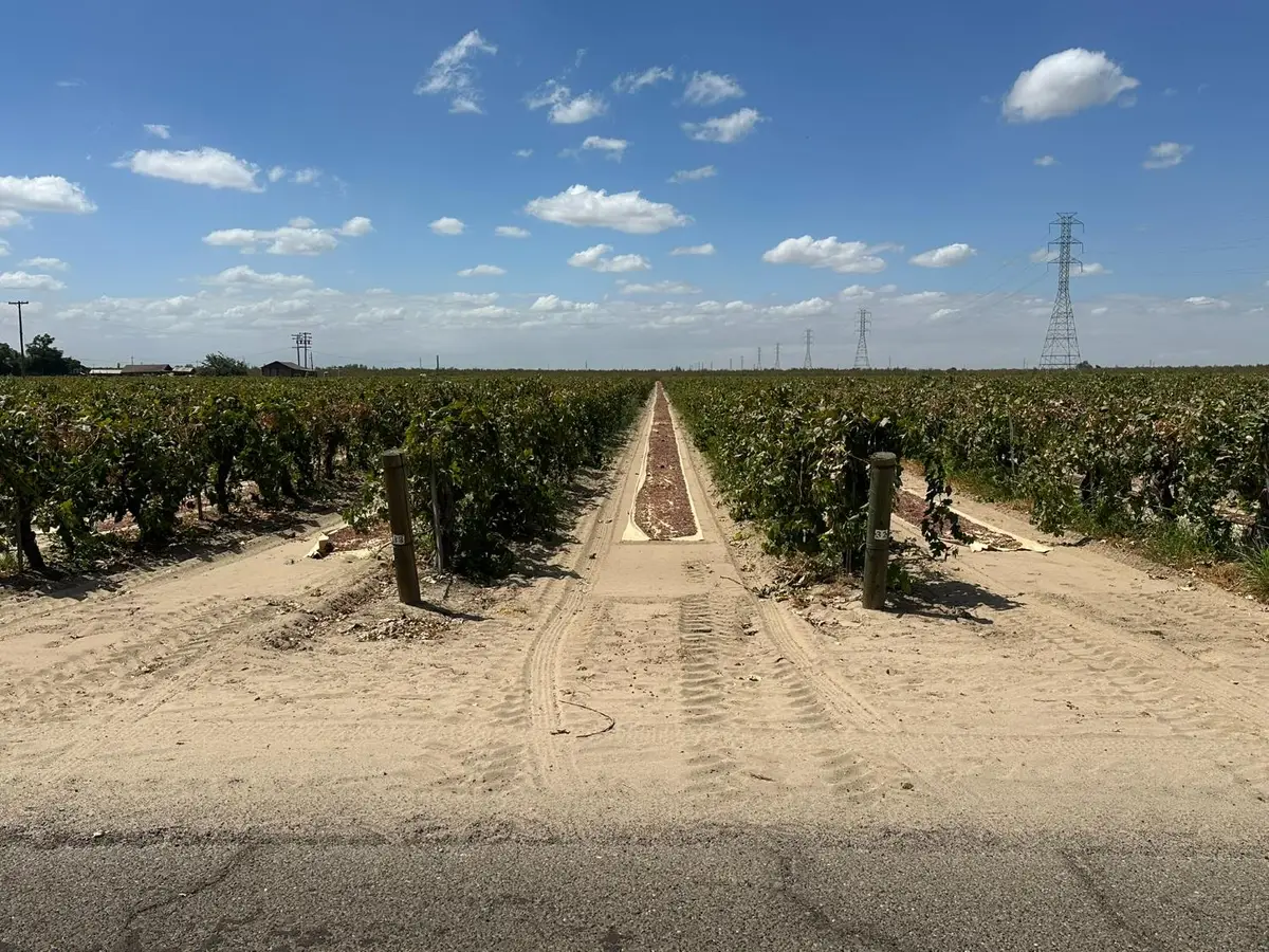 9637 S Brawley Avenue, Fresno, CA 93706 - #1