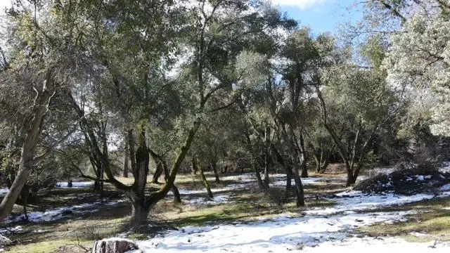 0 T8s R22e Sec 11&14, North Fork, CA 93643 - #3