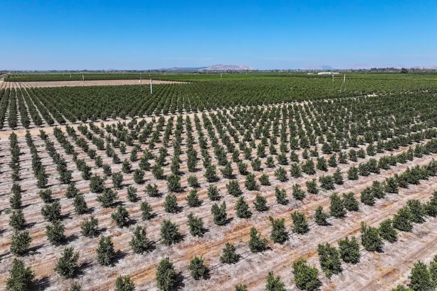 40903 Road 144, Orosi Cutler, CA 93615 - #2