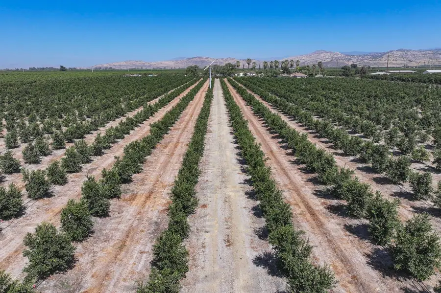 40903 Road 144, Orosi Cutler, CA 93615 - #3