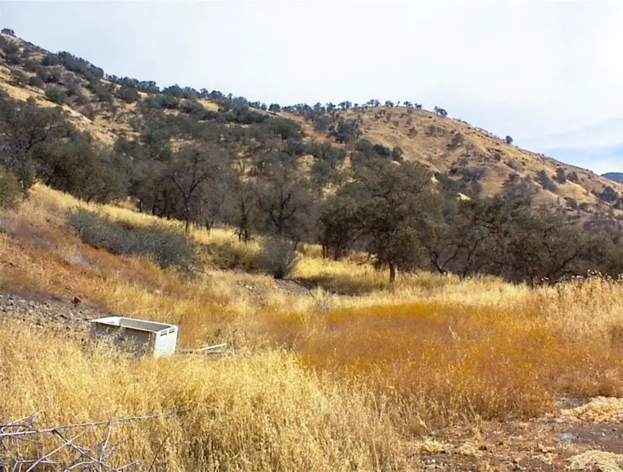 38 Recter Lane, Yokuts Valley, CA 93675 - #3