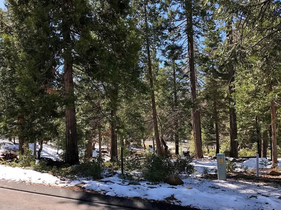 42518 Tourmaline Lane, Shaver Lake, CA 93664 - #2