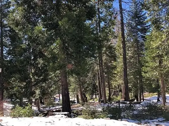 42518 Tourmaline Lane, Shaver Lake, CA 93664 - #3