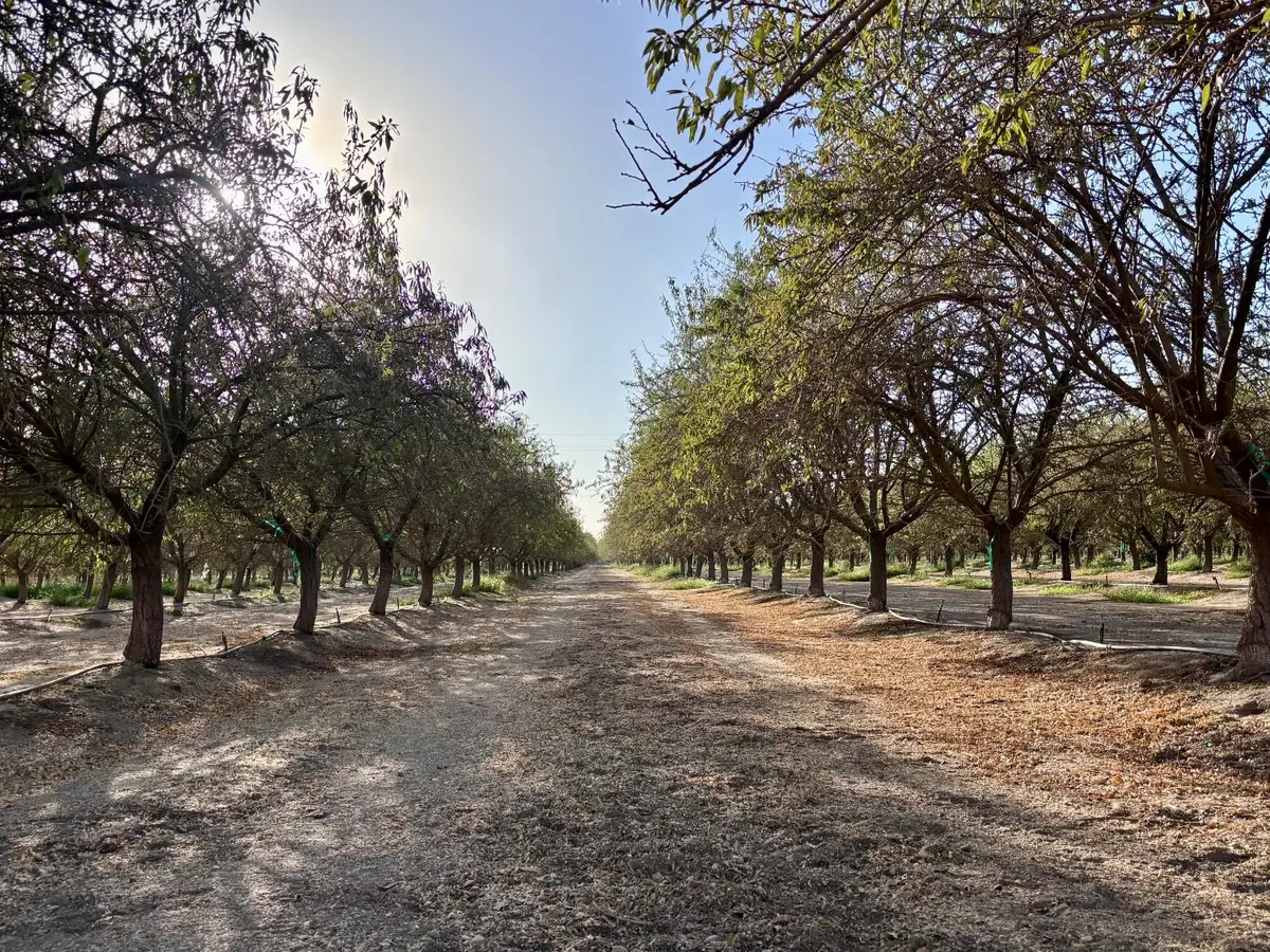21671 Ave 18, Madera, CA 93637 - #1