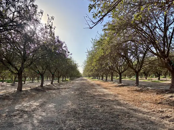 21671 Ave 18, Madera, CA 93637