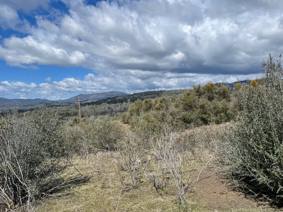16 Miami Highlands Drive, Oakhurst, CA 93644 - #2