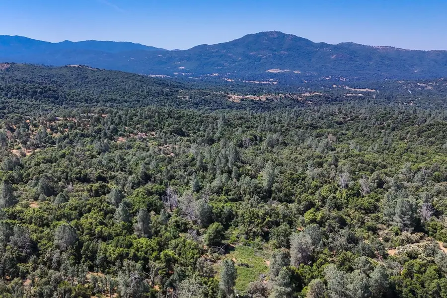 47850 Road 620, Oakhurst, CA 93644 - #2