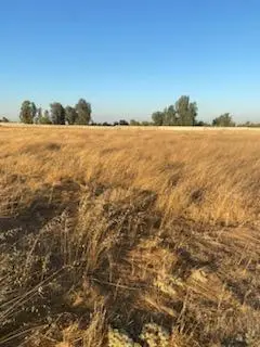 27624 E Avenue 17, Madera, CA 93638 - #1
