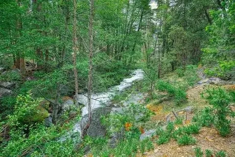 51823 Camp Sierra Street, Shaver Lake, CA 93664 - #3