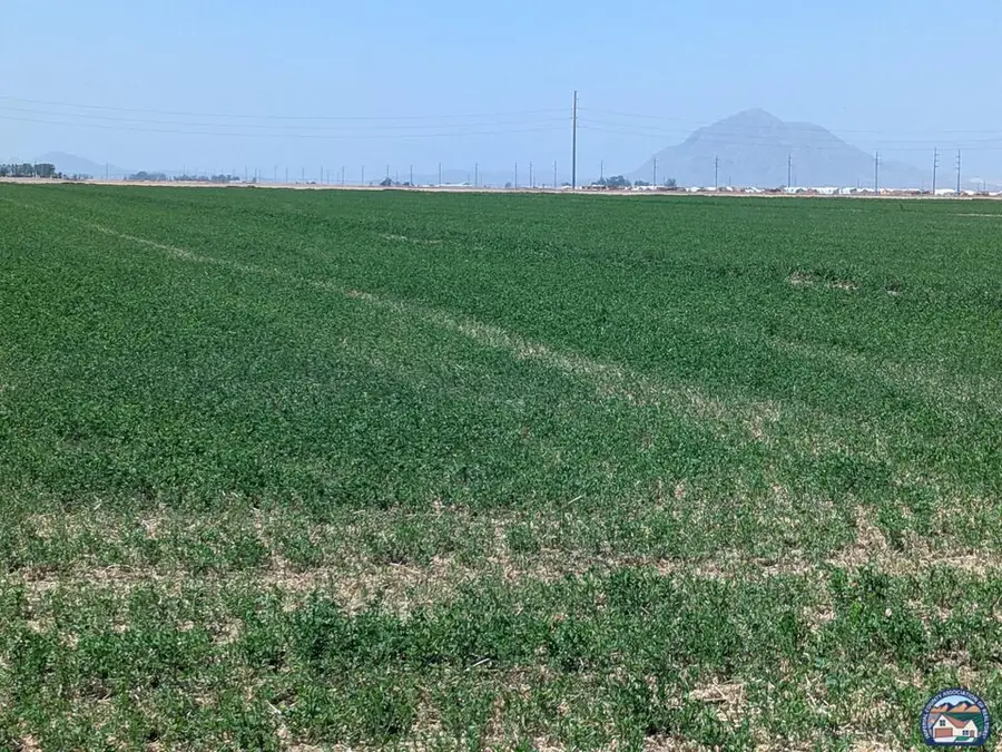 1105  W Aten Dr, Seeley, CA 92273 - #2