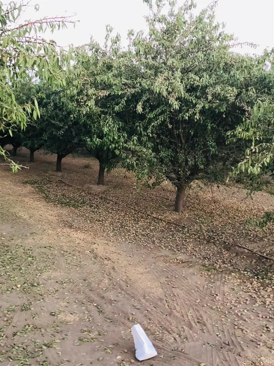 6900 Grangeville Boulevard, Hanford, CA 93230 - Image #3