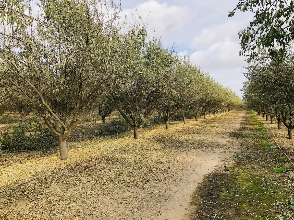 7639 7th Avenue, Hanford, CA 93230 - Image #1