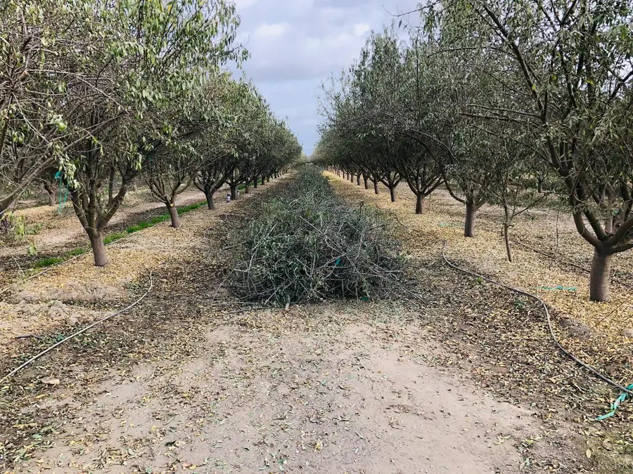 7639 7th Avenue, Hanford, CA 93230 - Image #3