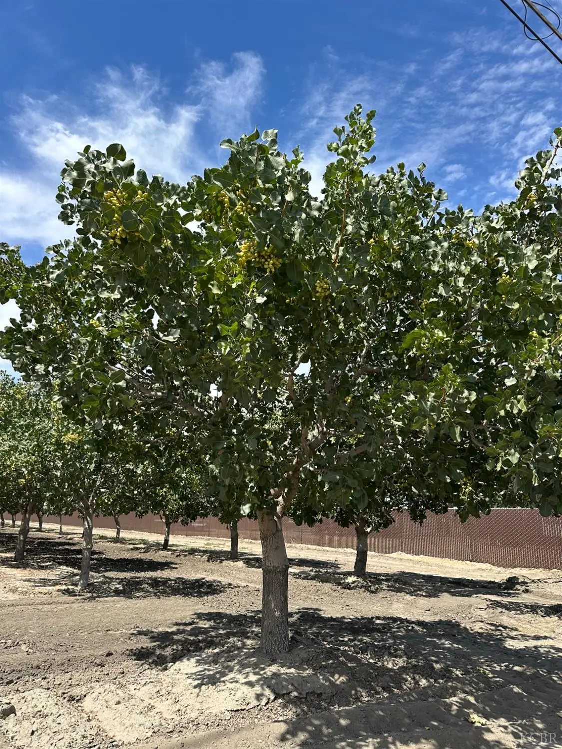 0 Lansing Avenue, Stratford, CA 93266 - #1