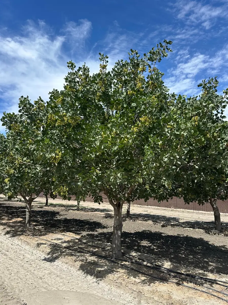 0 Lansing Avenue, Stratford, CA 93266 - #3