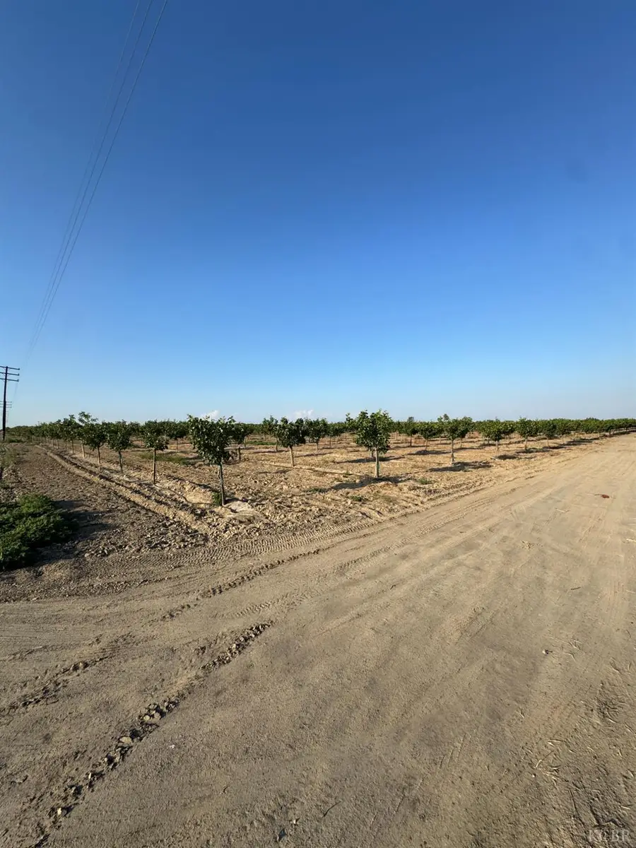 0 Ave 56, Earlimart, CA 93219 - #3