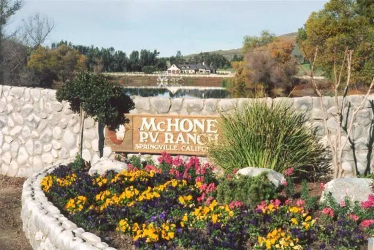 Angus Loop Extension Farm&past Drive, Springville, CA 93265 - #3