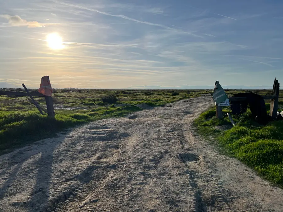 Lot 114 Track #1226, Wasco, CA 93280 - #2