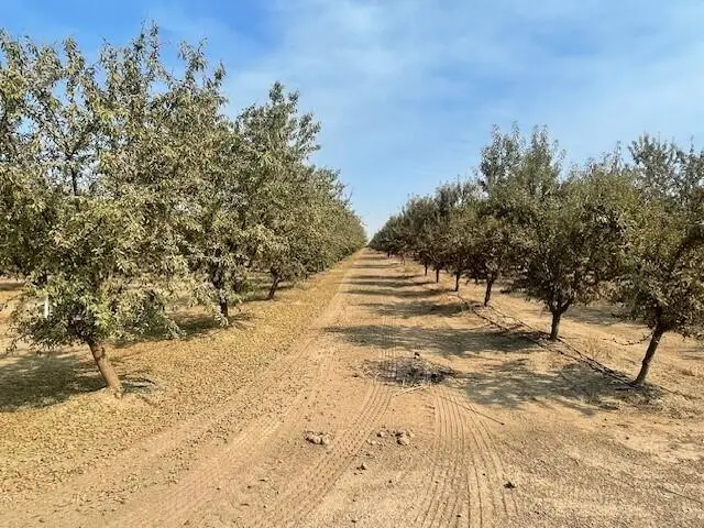 Avenue 144, Tipton, CA 93272 - #3