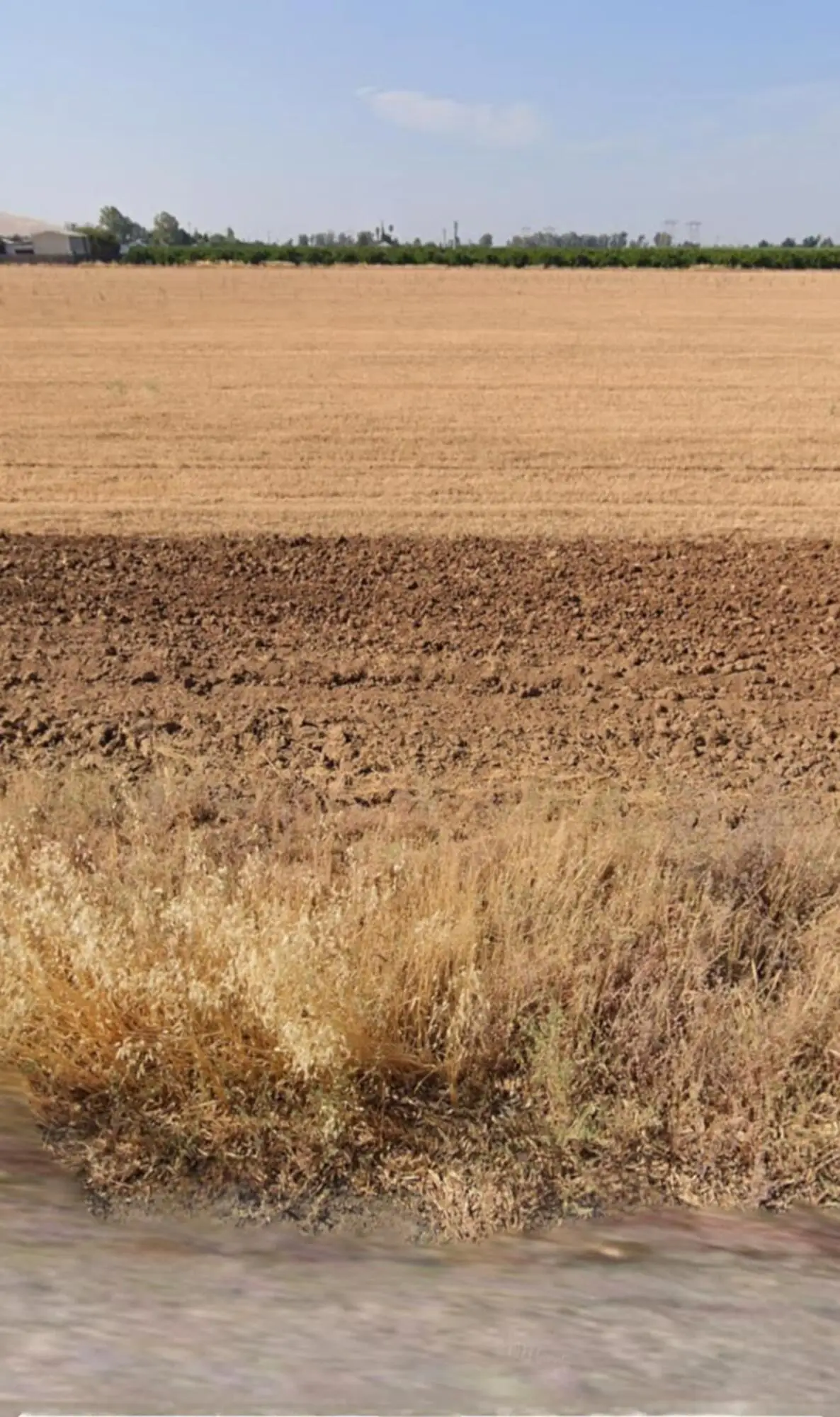 0 Ave 428, Orosi, CA 93647 - #1