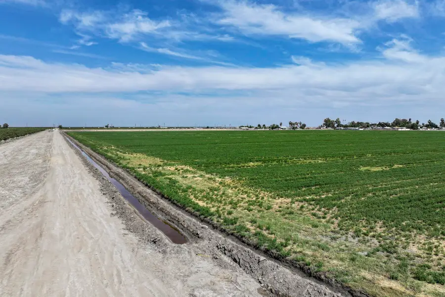 Road 38, Alpaugh, CA 93201 - #2