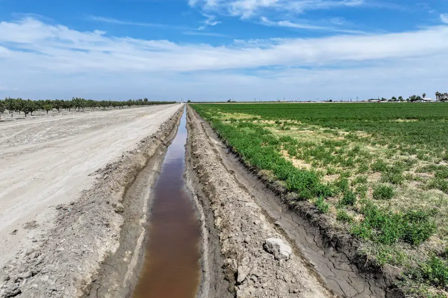 Road 38, Alpaugh, CA 93201 - #3