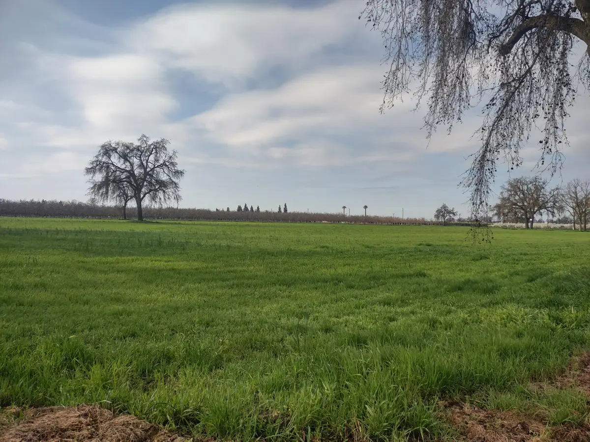 Lovers Lane, Visalia, CA 93292 - #1