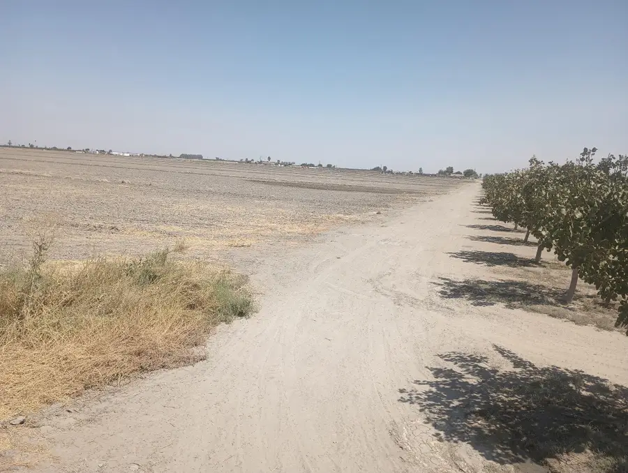 Ave 56 #2, Alpaugh, CA 93201 - #2