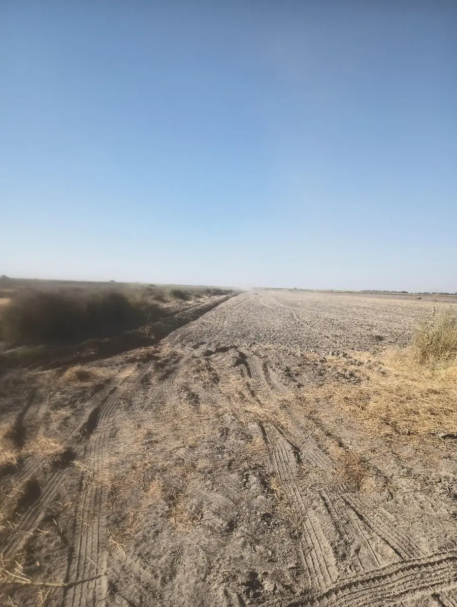 Ave 56 #2, Alpaugh, CA 93201 - #3