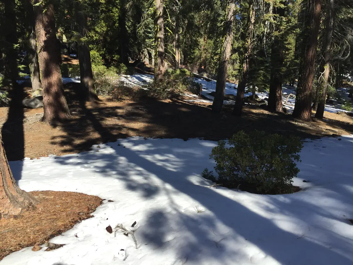 57955 Summit Drive, Ponderosa, CA 93265 - Image #1