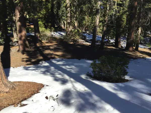 57955 Summit Drive, Ponderosa, CA 93265