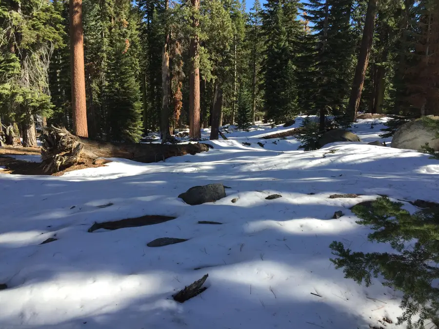 57955 Summit Drive, Ponderosa, CA 93265 - Image #3