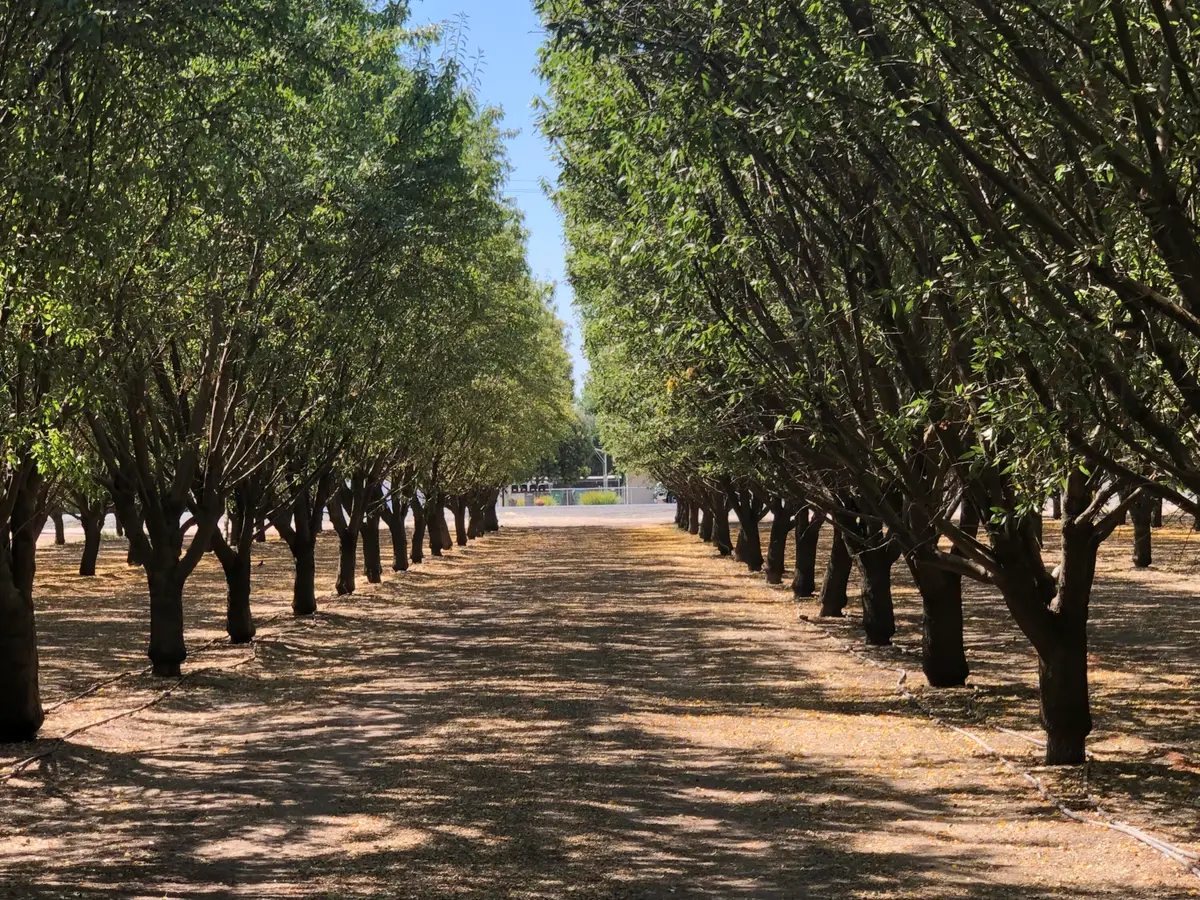 000 W Marinette Avenue, Exeter, CA 93221 - #1