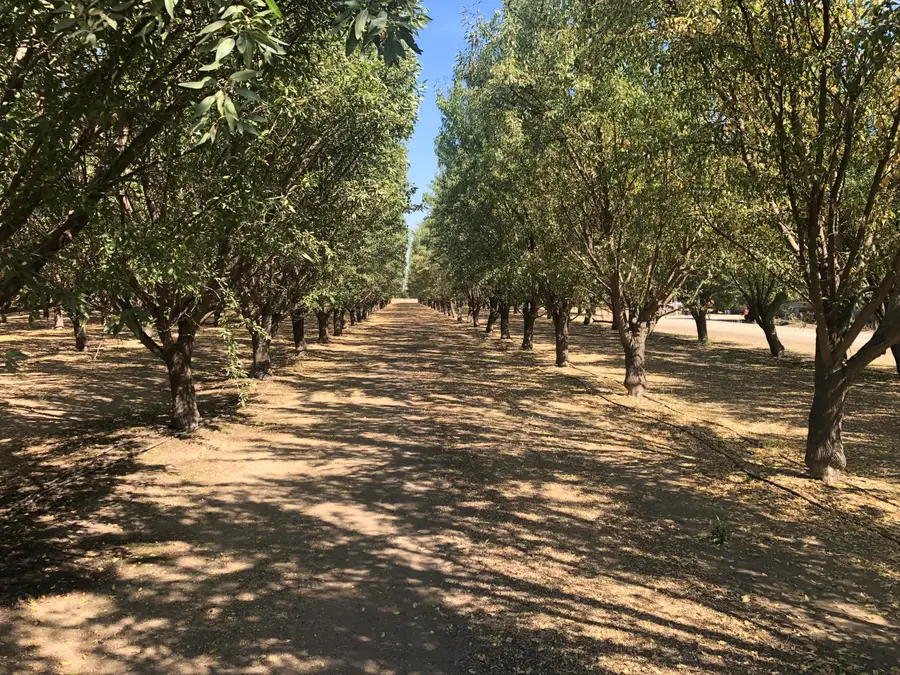 000 W Marinette Avenue, Exeter, CA 93221 - #2