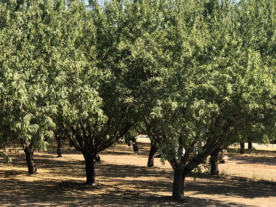 000 W Marinette Avenue, Exeter, CA 93221 - #3