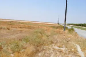 00 00 16 Avenue, Allensworth, CA 93219 - #2