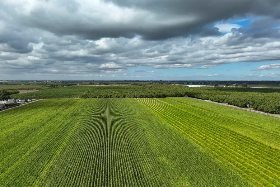 0 Rd. 140, Visalia, CA 93292 - Image #3