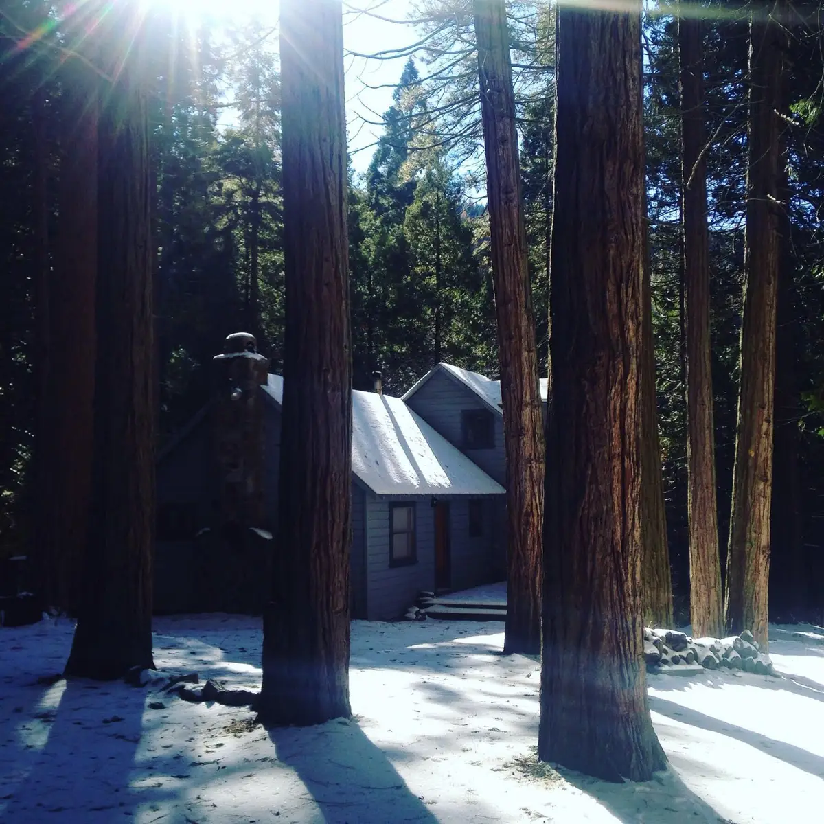 2115 Ferguson Drive, Camp Nelson, CA 93265 - Image #1