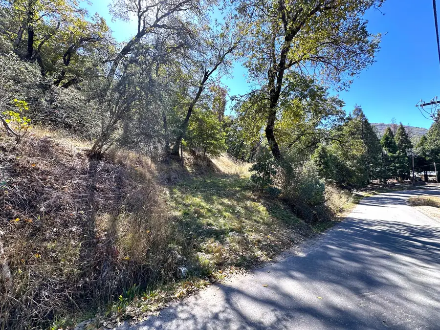 Lot 1 Manter Meadow Drive, California Hot Springs, CA 93207 - #2