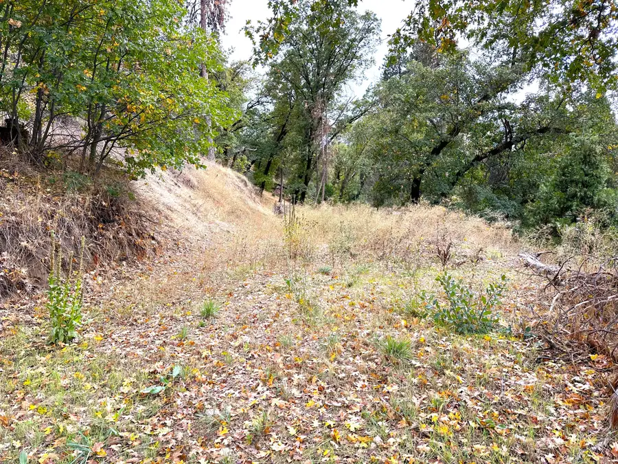 Lot 1 Manter Meadow Drive, California Hot Springs, CA 93207 - #3