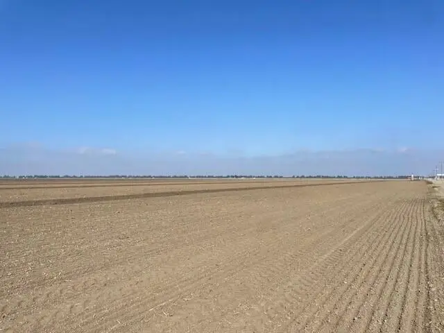 Rd 56, Tulare, CA 93274 - #1