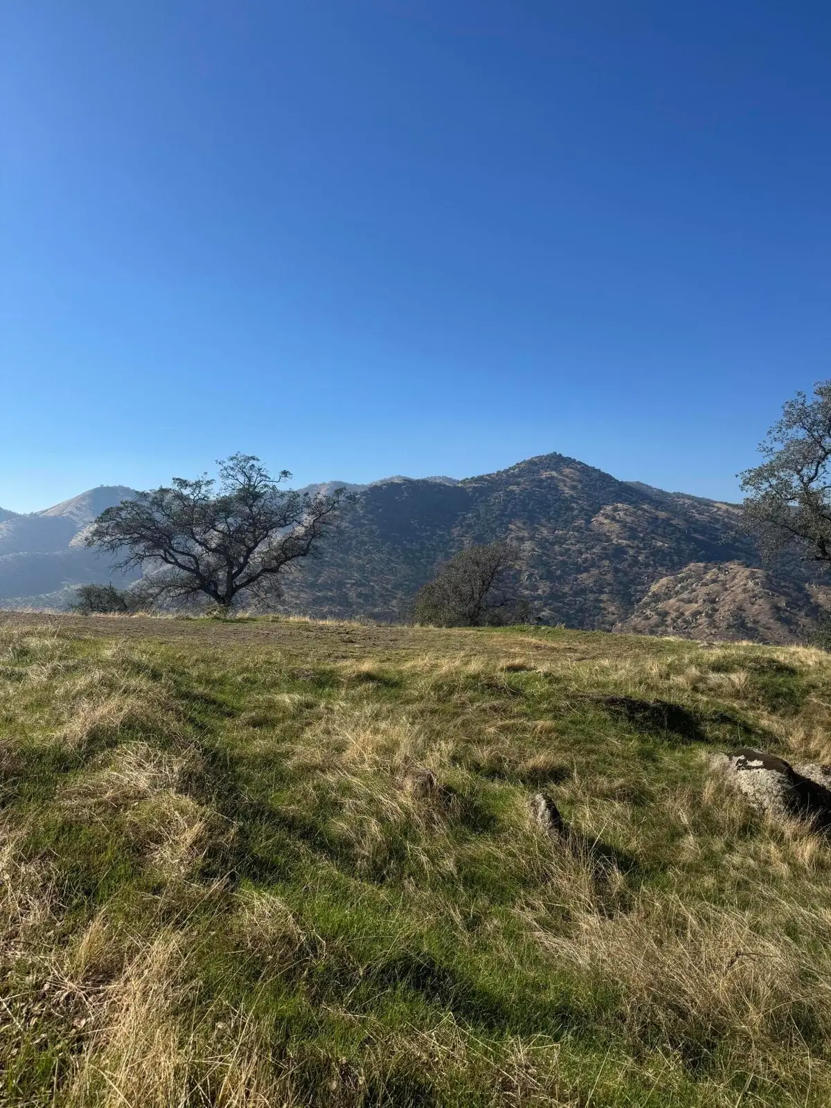 0 E Mynatt Drive, Three Rivers, CA 93271 - Image #1