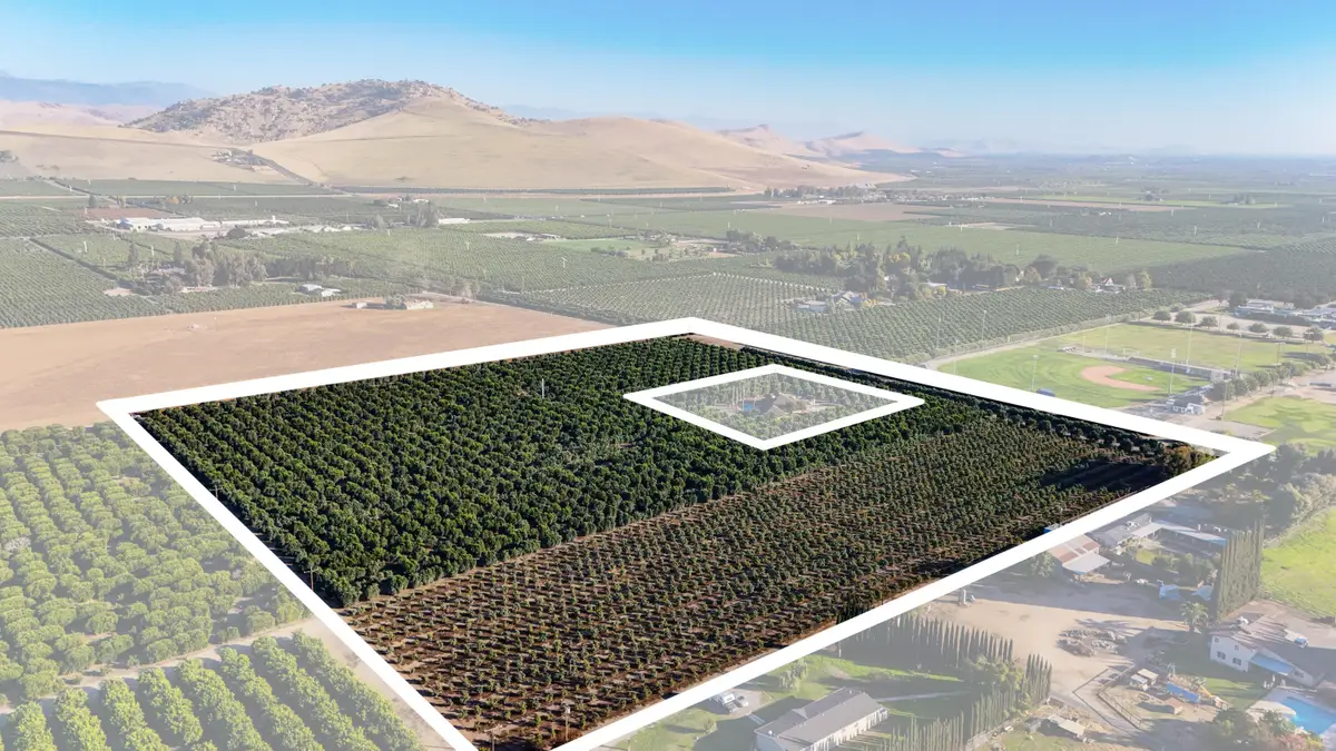 1435 E Palm Drive, Exeter, CA 93221 - #1