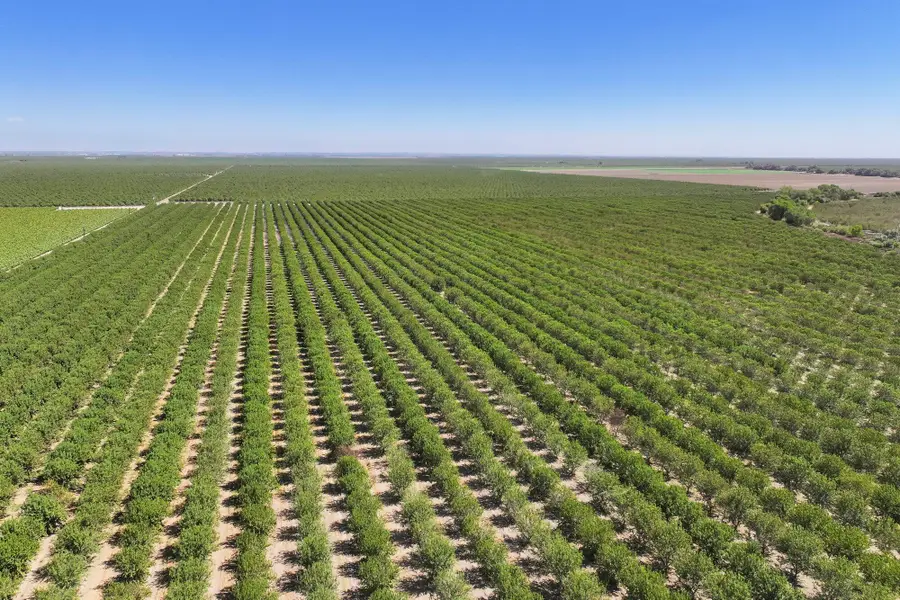 Palm Avenue, Wasco, CA 93280 - Image #2