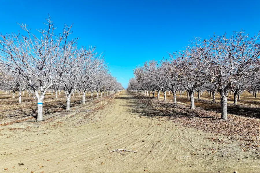 33571 W Adams Avenue, Mendota, CA 93640 - Image #2