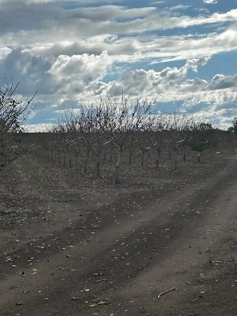 Ave 100, Terra Bella, CA 93270 - Image #1