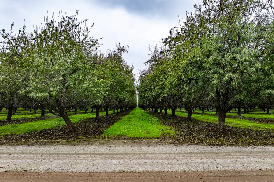 Deer Creek Road, Earlimart, CA 93219 - #2