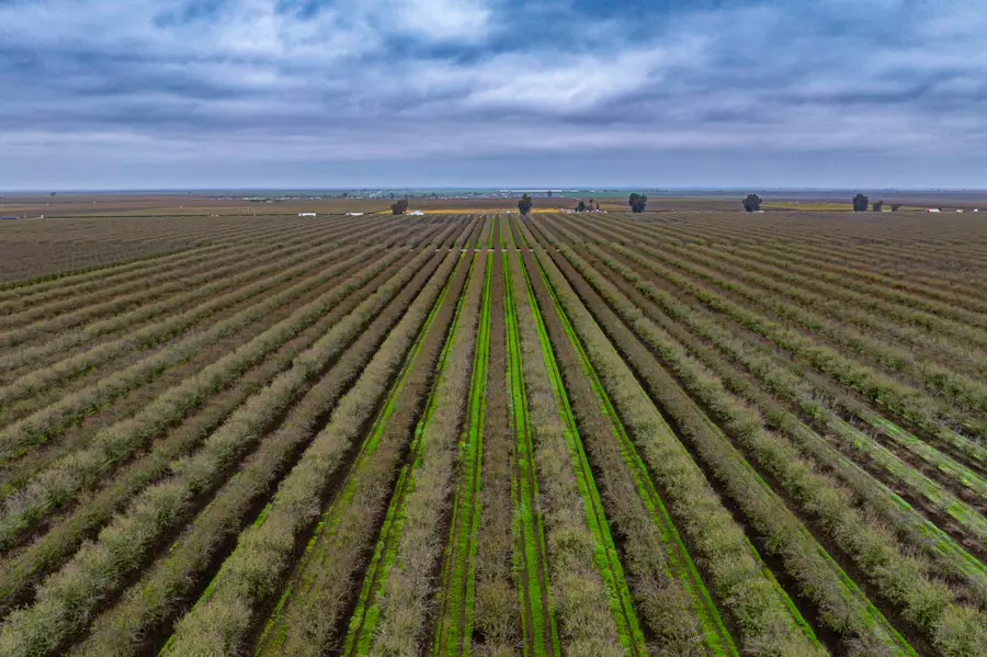 Deer Creek Road, Earlimart, CA 93219 - #3