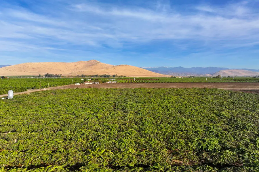 Rd. 136, Cutler, CA 93615 - Image #3